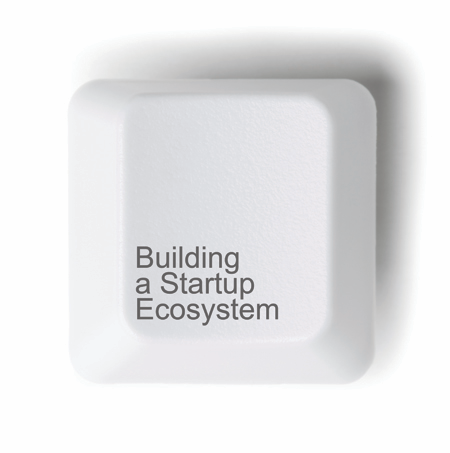 cómo construir un ecosistema empresarial comportamientos para desarrollar un ecosistema empresarial