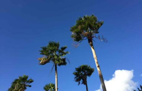 trucos-como-controlar-la-ansiedad-emprendedor