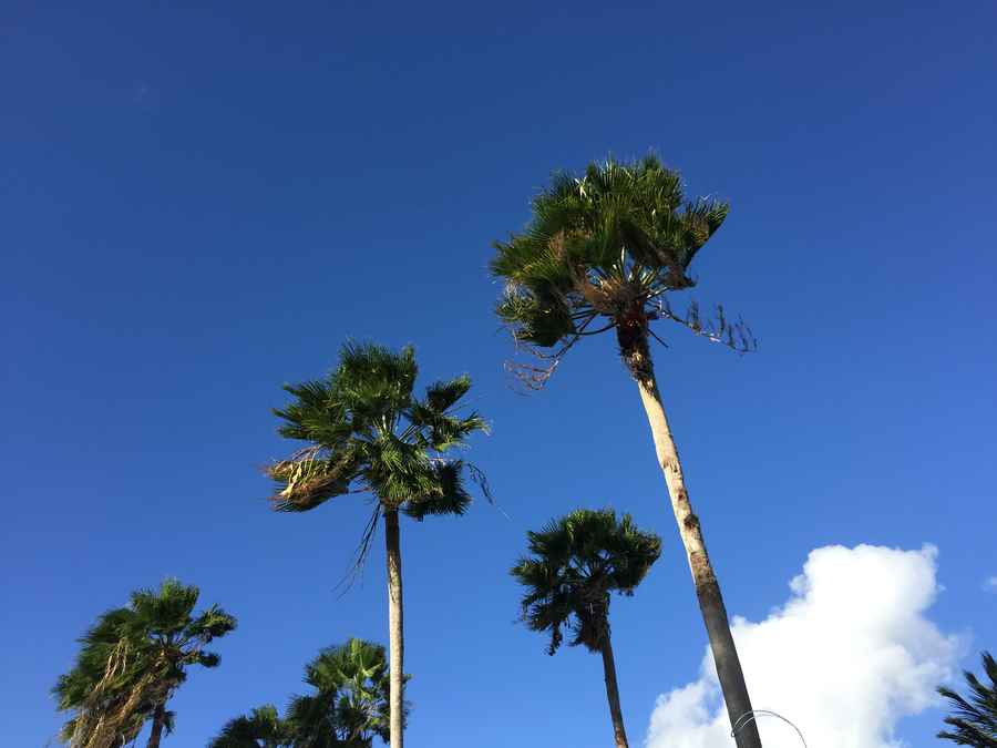 trucos-como-controlar-la-ansiedad-emprendedor